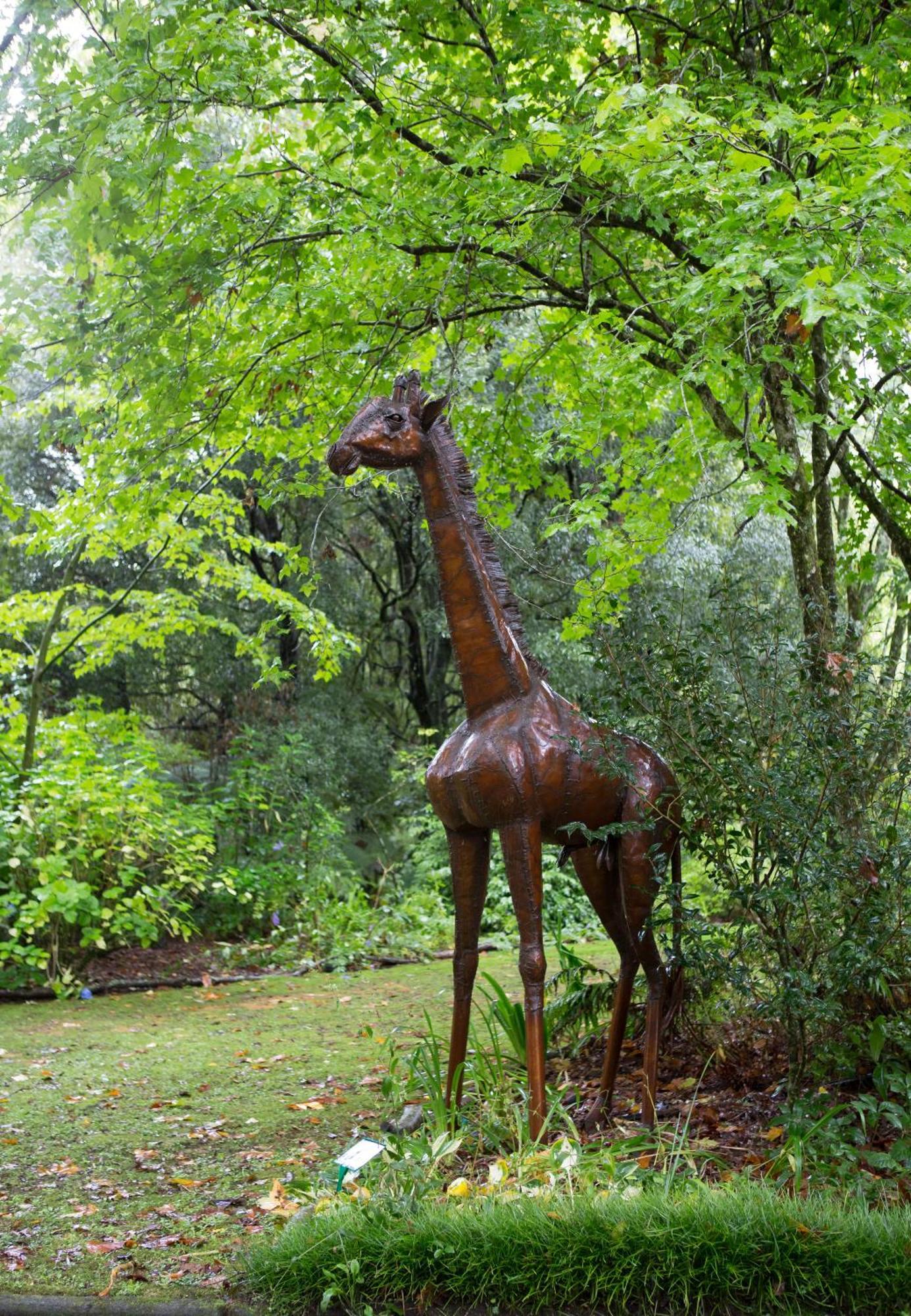 Vila Tepopo Gardens Rural Retreat Stratford Exteriér fotografie