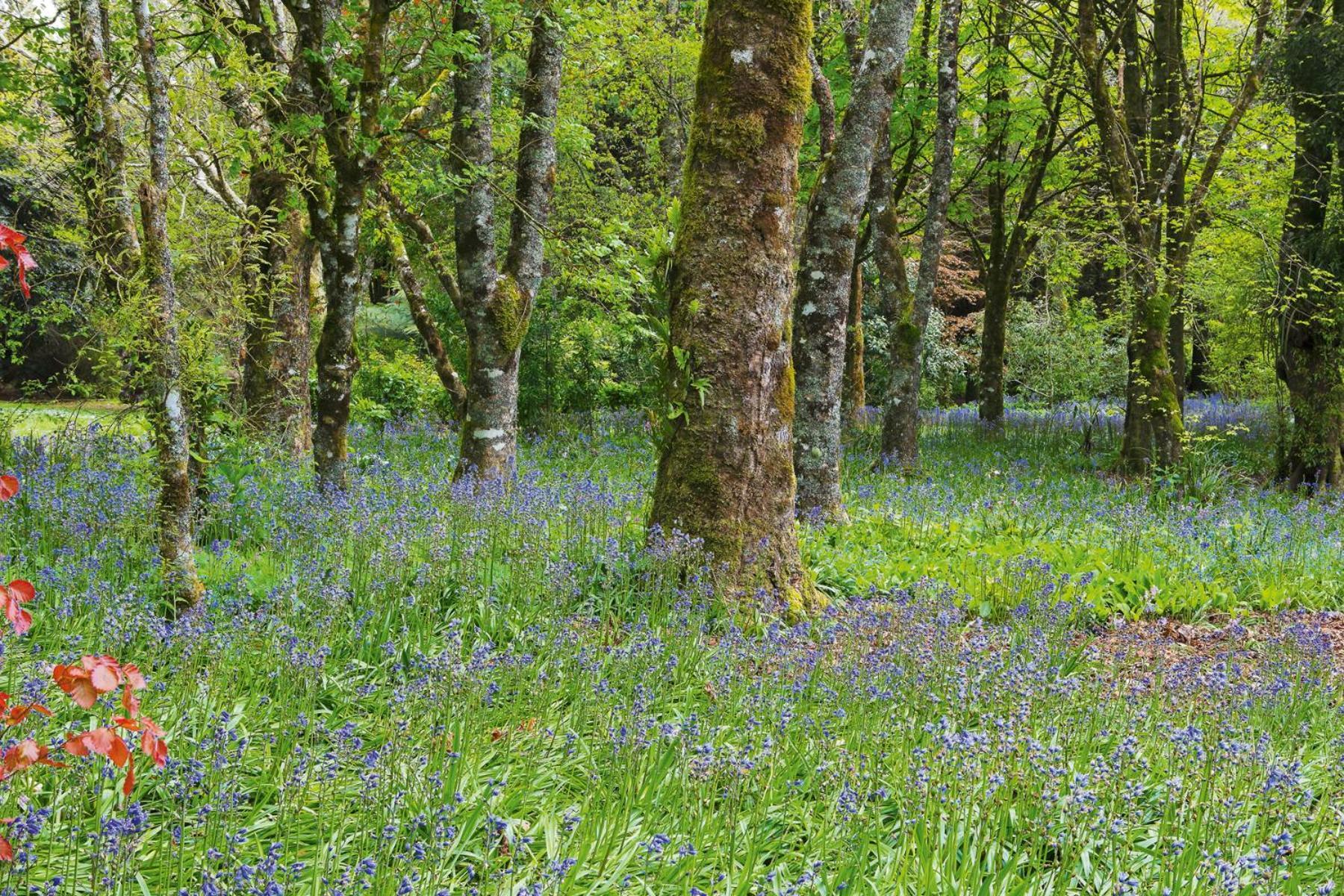 Vila Tepopo Gardens Rural Retreat Stratford Exteriér fotografie