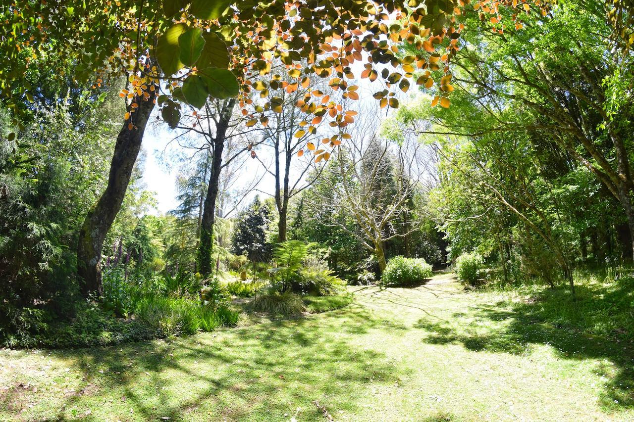 Vila Tepopo Gardens Rural Retreat Stratford Exteriér fotografie