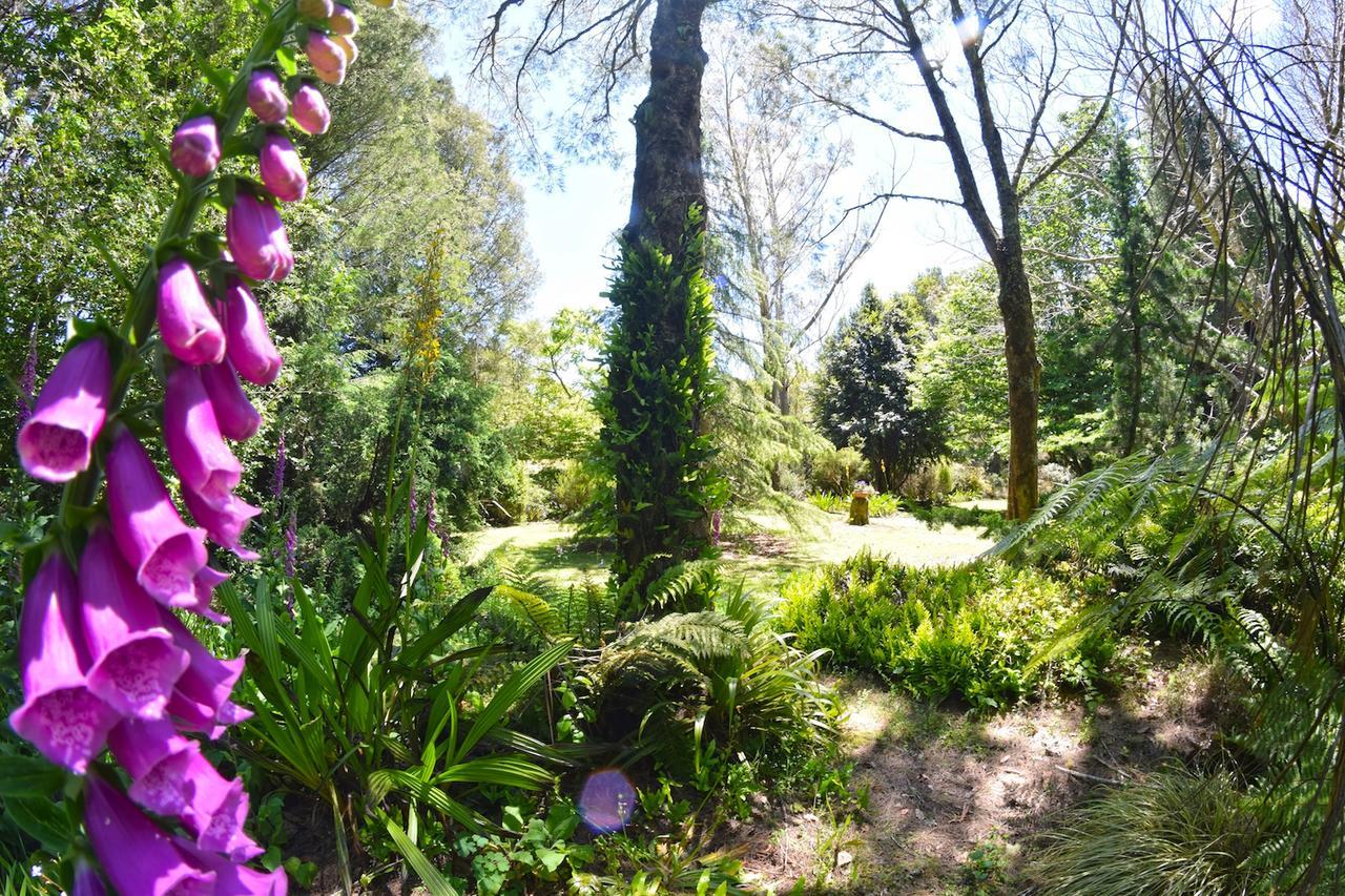 Vila Tepopo Gardens Rural Retreat Stratford Exteriér fotografie